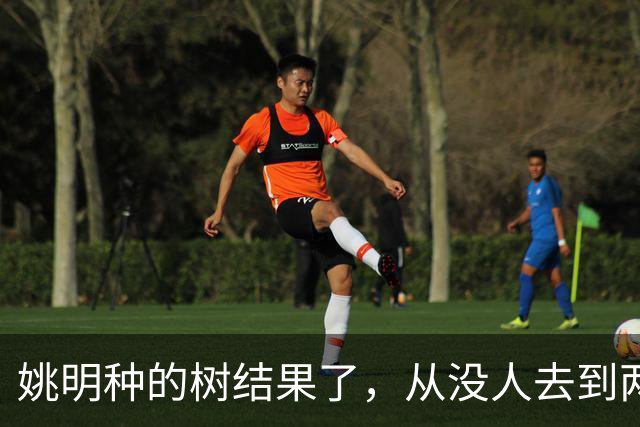 姚明种的树结果了，从没人去到两位数留洋，年轻人治好男篮老毛病